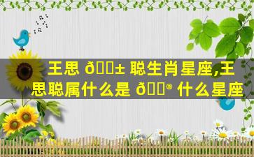 王思 🐱 聪生肖星座,王思聪属什么是 💮 什么星座